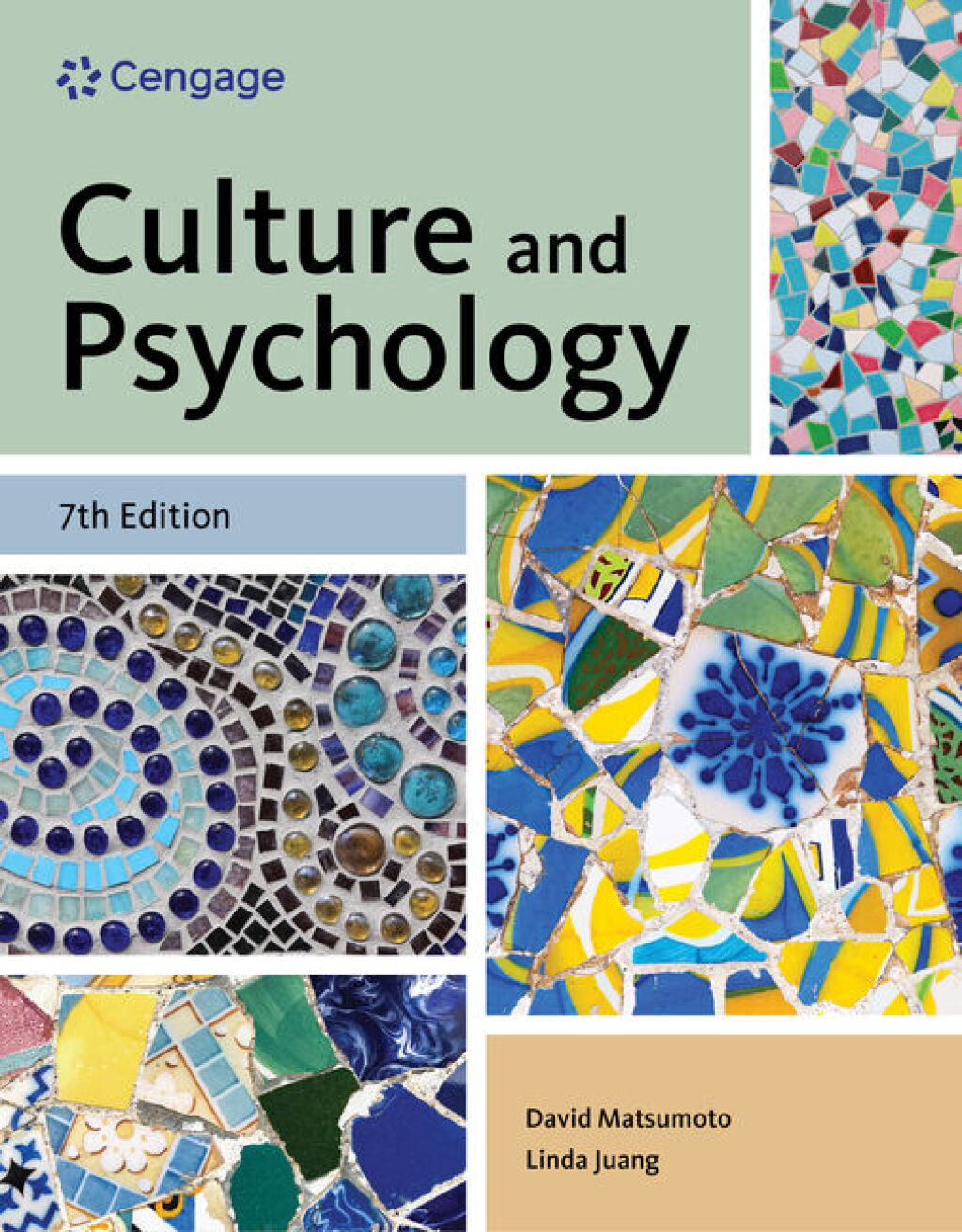 Culture and Psychology 7th Matsumoto Test Bank