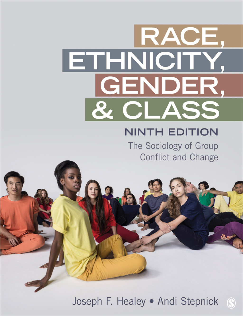 Race Ethnicity Gender and Class 9th Healey Test Bank