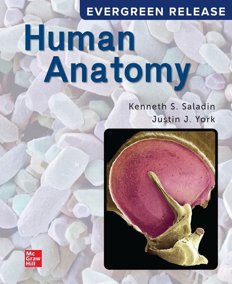 Human Anatomy 2024 Release 1st Saladin Test Bank