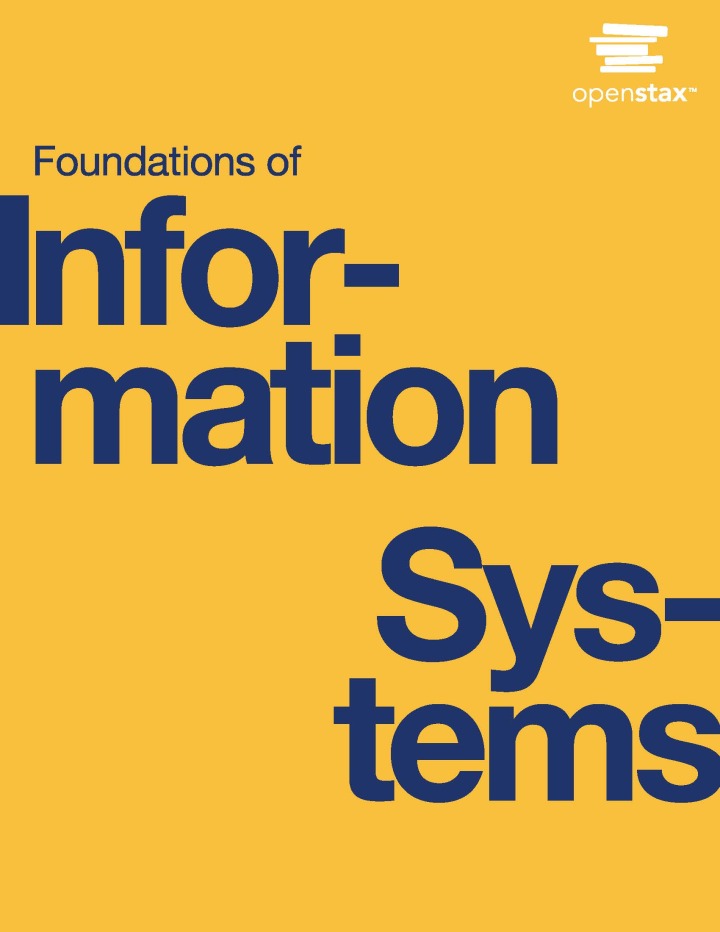 Foundations of Information Systems 1st Raisinghani Test Bank