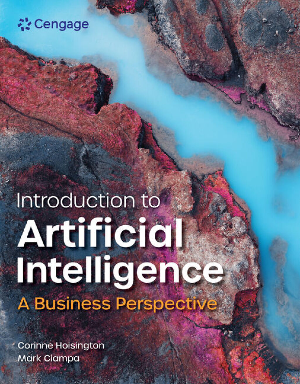 Introduction to Artificial Intelligence: A Business Perspective 1st Hoisington Test Bank