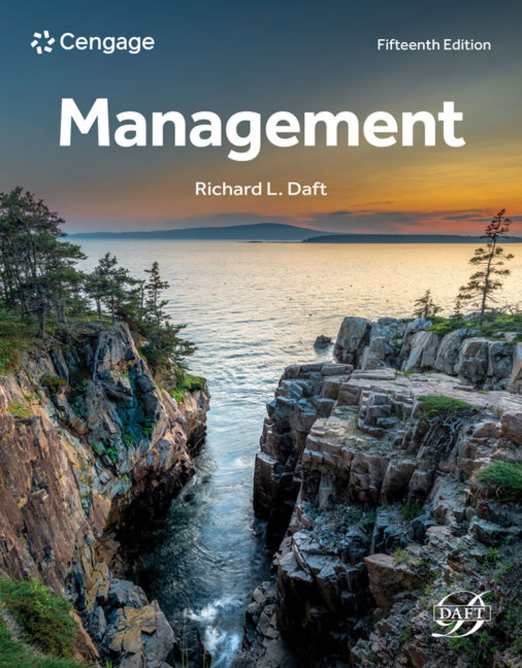 Management 15th Daft Solutions Manual