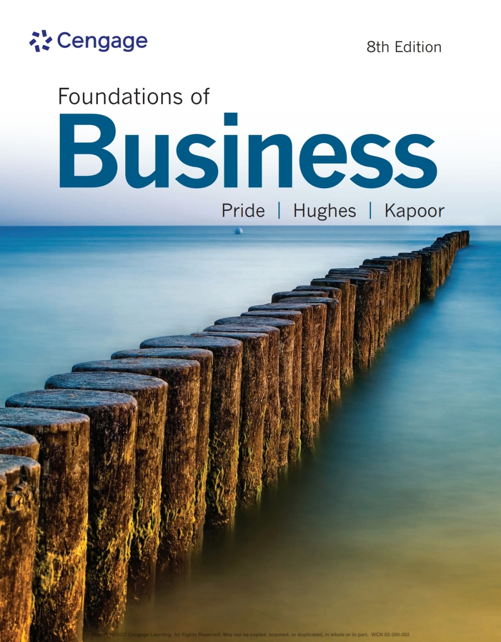 Foundations of Business 8th Pride Test Bank