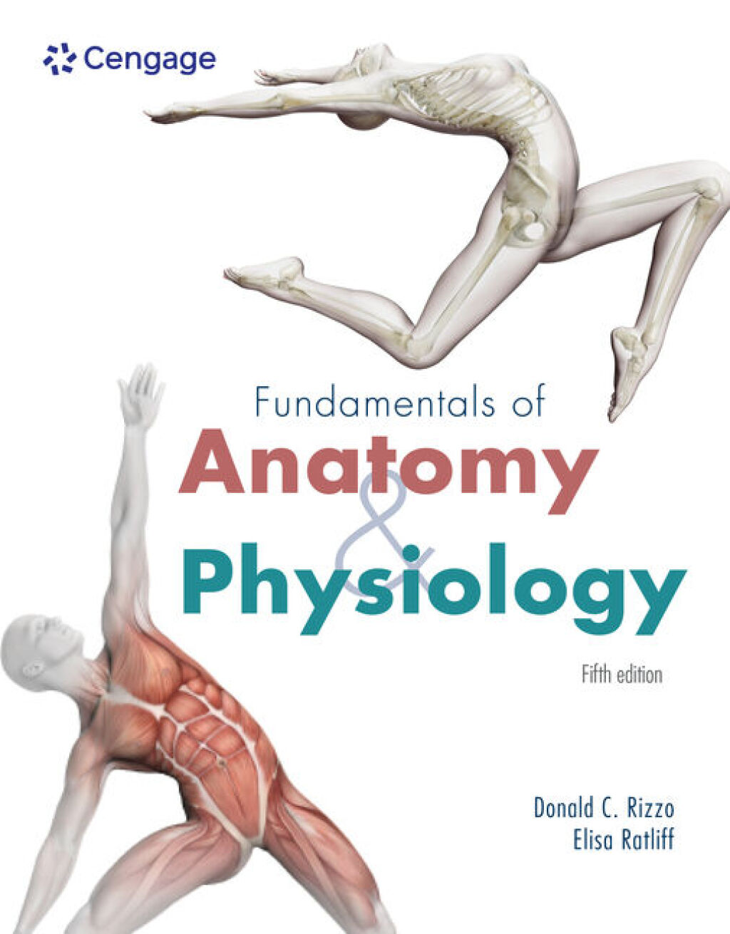 Fundamentals of Anatomy and Physiology 5th Rizzo Solutions Manual