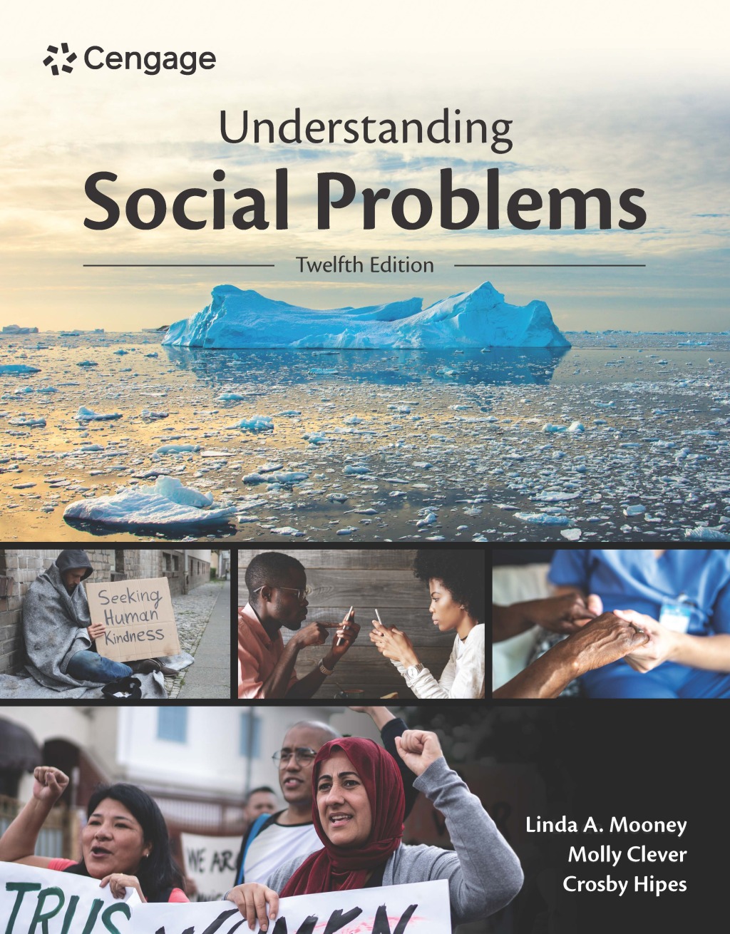 Understanding Social Problems 12th Mooney Test Bank